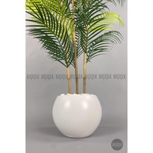 Biçiçek 120 cm  Areka Ağacı 24 Yapraklı Küre Saksıda