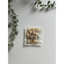 Lotusorium Inci Tozu Mum (150GR) ve Dekoratif Deniz Kabukları (20 Tane 4 cm  Fitil)
