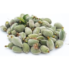 Datçam Taze Çağla Badem 500 gr