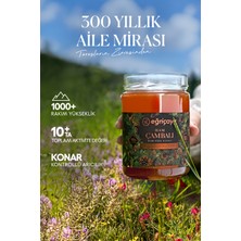 Eğriçayır Ham Çam Balı TA10+ 3X850G (Doğal, Hakiki)