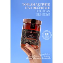 Eğriçayır Ham Çam Balı TA10+ 3X850G (Doğal, Hakiki)