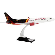 Zekupp Boeing 737-800 1/100 Ölçek Welcome To Hell Tasarımlı Maket Uçak  (UCK0210)