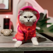 Lady Fify Kedi Köpek için Turuncu Fuşya Aşkı Hırka
