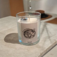 Disco Flame Set Disko Topu Temalı Soya Wax Mum Kokulu