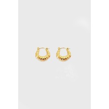 Glare Jewellery Dens Model Altın Kaplama Küpe