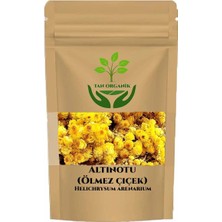 Tan Organik Altınotu 500gr