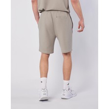 Pronton Short Erkek Gri Regular Fit Şort