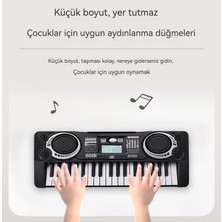 Checkered Wind Çocuklar 37 Harpsichord Müzik Aletleri Müzik Oyuncak (Yurt Dışından)