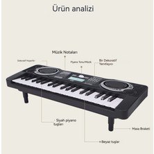 Checkered Wind Çocuklar 37 Harpsichord Müzik Aletleri Müzik Oyuncak (Yurt Dışından)