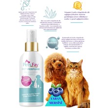 Pet'S Fav Yaban Mersini Kokulu Evcil Hayvan Parfümü Evcil Hayvanlar İçin Ferah & Kalıcı Koku Kedi Ve Köpek Spreyi