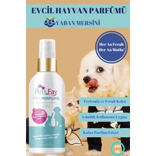 Pet'S Fav Yaban Mersini Kokulu Evcil Hayvan Parfümü Evcil Hayvanlar İçin Ferah & Kalıcı Koku Kedi Ve Köpek Spreyi