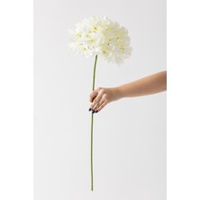Yapay Vazo Çiçeği Ortanca 75 cm 5 Dal Beyaz
