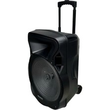 Electromaster ES-3030 150W Ses Sistemi