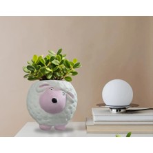 Minimal Tatlı Koyun Tasarımlı Doğal Taş Saksı