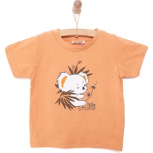 HelloBaby Basic Koala Baskılı  Tshirt Erkek Bebek