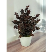 Yapay Çiçek Beyaz Saksıda Okaliptus Şimşir Demeti Pudralı Pastel Kahverengi Dekoratif Yapay Bitki