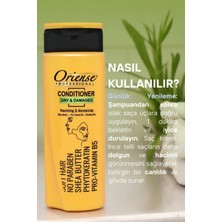Oriense Professional 360 ml Saç Kremi