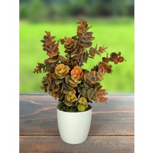 Yapay Çiçek Beyaz Saksıda Okaliptus Şimşir Demeti Pudralı Pastel Turuncu Dekoratif Yapay Bitki