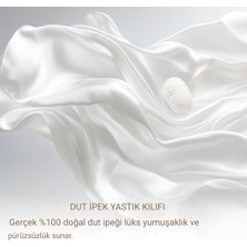 Beautiful Arat İpek Yastık kılıfı  Saç ve Cilt İçin%100 Saf Dut İpeği Yastık Kılıfı - 6A Yüksek Dereceli Uyku, Gizli Fermuarlı Soğutucu Saten Yastık Kılıfları, ipek (Standart 50x70