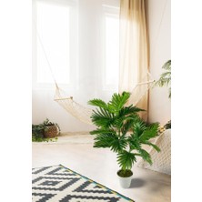 Yapay Çiçek Areka Palmiye Ağacı 85 cm  2dal Salon Çiçeği Beyaz Saksılı Yapay Bitki