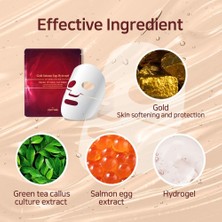 Noer Group Altın Somon Yumurtası Özlü Hidrojel Maske