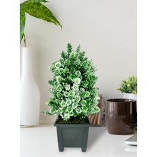 Nettenevime Yapay Çiçek Bonsai Ağacı Beyaz Kozalak Model Dekoratif Yapay Ağaç Bonzai 30 x 15  cm  Siyah Kare Saksıda