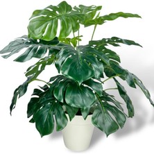 Yapay Çiçek Krem Saksıda Monstera Deve Tabanı Yeşil Doğal Dokulu 18DAL 50CM Salon Çiçeği Yapay Bitki