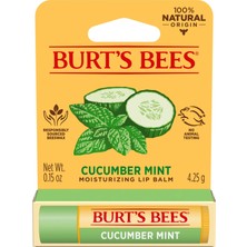 Burt's Bees Lip Balm Cucumber Mint (Renklendiricisiz) 4.25 gr