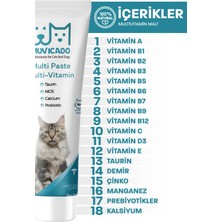 Muvicado Kedi Multi Vitamin Malt Macunu - Multi Paste - Kedilerde Sağlık Sistemi Güçlendirici Tüy Yumağı Önleyici