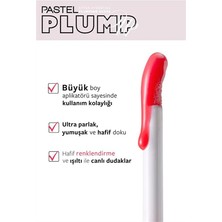 Plump Up Extra Hydrating Plumping Gloss - Dolgunlaştıran Dudak Parlatıcısı 204 Spicy Sweet