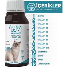Muvicado Kedi Tüy Sağlığı Damlası Plus +B Kediler Için Tüy ve Tırnak Sağlığını Destekleyen Multivitamin 50ML Tüy Dökülmesini Engelleme