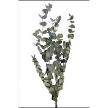 Ipek Hobi Yeşil  Şoklanmış Okaliptus