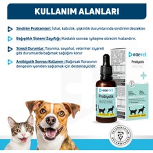 OneVet Prebiotik Damla Kedi ve Köpekler İçin Sindirme ve Vücut Direnci Destekleyici Vitamin Takviyesi Şurup 50 ml