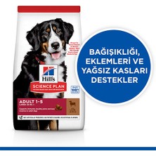 Hill's Advanced Fitness Kuzulu ve Pirinçli Büyük Irk Yetişkin Köpek Maması 14 Kg