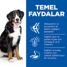 Hill's Advanced Fitness Kuzulu ve Pirinçli Büyük Irk Yetişkin Köpek Maması 14 Kg