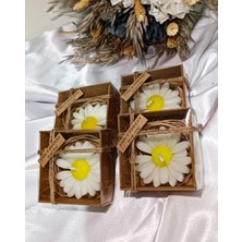 Yeba Candle Söz, Nişan, Düğün, Mevlüt, Doğum Günü, Nikah Şekeri Hediyelik Hatıra Kutulu Papatya Mum 5 Adet