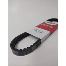 Bando Kuba Rosewood 50CC 80CC Uyumlu Yerli Üretim Bando Kayış