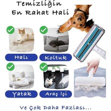 Pratik Kedi Köpek Evcil Hayvan Tüy Temizleyici Kıl Toz Toplayıcı Hazneli Tüy Toplama Aleti 1 Adet