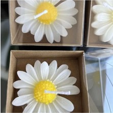 Bernami 24 Adet Papatya Mum Hediyelik Nişan, Nikah, Söz, Doğumgünü, Doğum