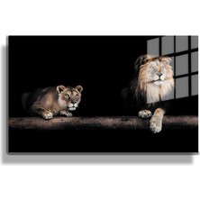 Marsilyan Eğlenceli Hayvanlar, Yapay Zeka Destekli, 3D Dekoratif Baskı Yatay Cam Tablo 68