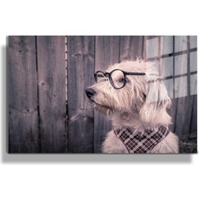 Marsilyan Eğlenceli Hayvanlar, Yapay Zeka Destekli, 3D Dekoratif Baskı Yatay Cam Tablo 405