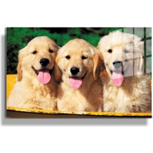 Marsilyan Eğlenceli Hayvanlar, Yapay Zeka Destekli, 3D Dekoratif Baskı Yatay Cam Tablo 171