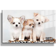 Marsilyan Eğlenceli Hayvanlar, Yapay Zeka Destekli, 3D Dekoratif Baskı Yatay Cam Tablo 299