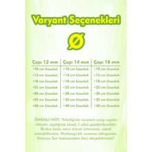 Vixpet SkyRoost Doğal Papağan Tüneği | Ø 12 mm Çap, 10 cm Uzunluk | Muhabbet, Forpus, Sevda, Cennet İçin