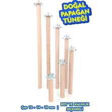 Vixpet SkyRoost Doğal Papağan Tüneği | Ø 25 mm Çap, 25 cm Uzunluk | Macaw, Kakadu, Jako, Amazon, Eklektus, Alex, Konur, Lori