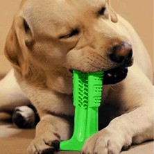 Köpek Diş Temizleyici ve Kaşıyıcı Sağlıklı Küçük Boy Oyuncak (4767) - MCT3234-9724