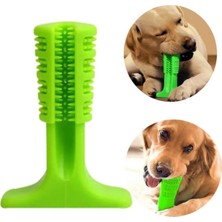 Köpek Diş Temizleyici ve Kaşıyıcı Sağlıklı Küçük Boy Oyuncak (4767) - MCT3234-9724