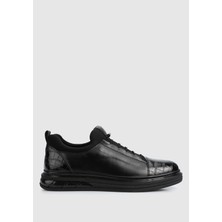 ProvoQ Siyah Deri Erkek Sneaker