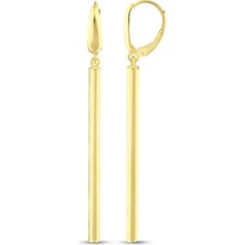 Assos Tasarım Altın Küpe - 14K