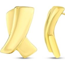 Assos Tasarım Altın Küpe - 14K
